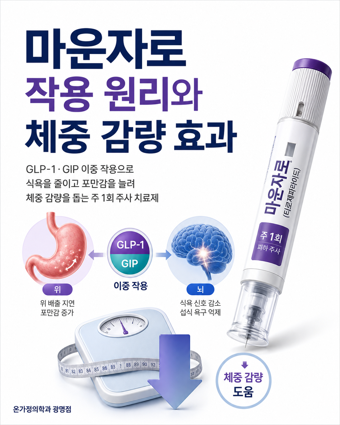 마운자로 작용 원리와 체중 감량 효과