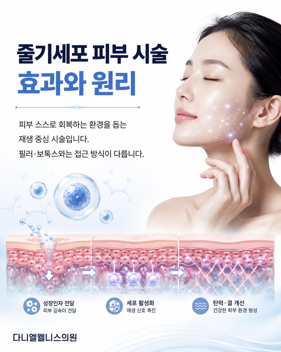 줄기세포 피부 시술 효과와 원리
